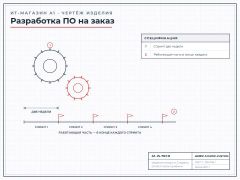 Custom software